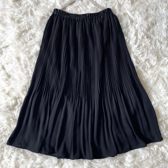 Exceti Globe Accordion Pleated Mid-length Skirt Size S Black - Picture 1 of 5